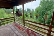 کلبه چوبی 1 در شیرگاه