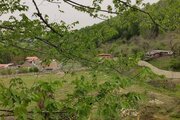 ویلا دوخواب در شیرگاه