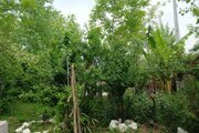 سوئیت ویلا باغ علیدوست در رشت