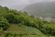 واحد دوخواب جنگلی در طبقه دوم ویلای سوادکوه