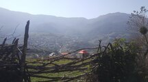 سوئیت جنگلی در لاویج