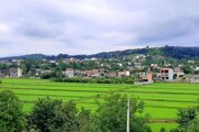 کلبه سوئیسی دوبلکس مبله تکخواب آرامش درشیرگاه
