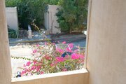 آپارتمان مبله تکخواب شقایق 6 در قشم