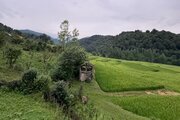 کلبه سوئیسی چوبی مبله دوخواب نسا در بابل