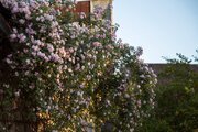 واحد طبقه اول تک خواب در لاهیجان