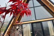 کلبه سوئیسی مبله دوبلکس تک خواب در نوشهر