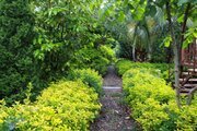 واحد طبقه دوم سه خوابه باغ یاس در ماسال | نمای باغ