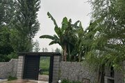 کلبه سوئیسی مبله دوخواب سروستان در سوادکوه