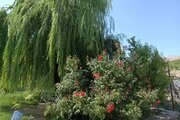 ویلا مبله دو خواب در سمیرم