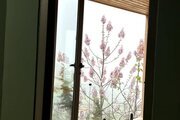 آپارتمان مبله دوخواب شادی در کلاردشت