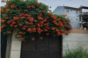 ویلایی دوخواب در لاهیجان رو به شیطان کوه