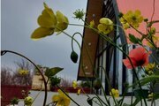 کلبه سوئیسی دوبلکس دوخواب در ماسال