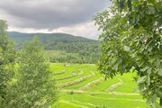 کلبه سوئیسی دوبلکس تکخواب آنجلیکا در سوادکوه