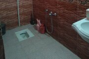 ویلا استخردار دو خواب مبله در کیاکلا
