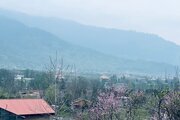 کلبه چوبی دوبلکس دوخواب در ماسال