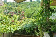 واحد دوبلکس دوخواب در طبقه اول ویلای رامسر