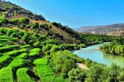 آپارتمان مبله دوخواب بزرگمهر در کیار | منطقه مشایخ 