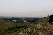 آپارتمان مبله تک خواب سزار اول در دورود