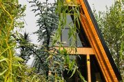 کلبه سوئیسی دوخواب جکوزی دار در چالوس
