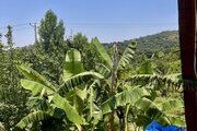 کلبه چوبی دوبلکس در گرگان