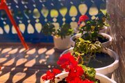 ویلا باغ دوخواب پنجره تالش در اسالم
