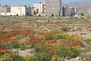 سوئیت مبله 25 متری 2 در جلفا