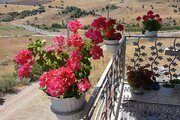 واحد طبقه اول ویلای دو خوابه در دیلمان