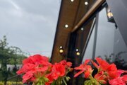 کلبه سوئیسی دوبلکس تکخواب در نشتارود