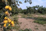 باغ ویلا استخردار دوخواب در قائم شهر