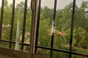 ویلا دوخواب در شیرگاه