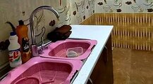ویلا دو خواب در سیراف