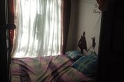 ویلا تک خواب چشمه در دماوند