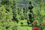 واحد تکخواب استخرگاه در طبقه اول ویلای رودبار