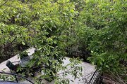 باغ ویلا دو خواب سارینا در کردان