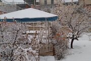 ویلا عمارت مبله دوبلکس دوخواب استخردار کلاسیک در رودهن