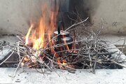 ویلا مبله تکخواب باغ بهشت در شاندیز مشهد