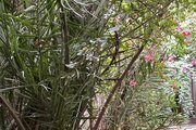 آپارتمان مبله دوخواب 2 در اصفهان