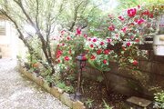 خانه ویلایی دو خوابه در چالوس