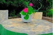 خانه ویلایی دو خواب مبله در ماسال
