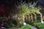 واحد دو خواب در طبقه ی همکف ویلا لاهیجان