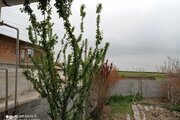 خانه ویلایی دو خواب در ساری