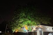 سوئیت ویلا مبله در رشت | ورودی ویلا 