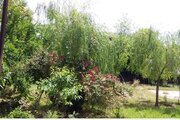 خانه ویلایی 2 خواب گیلان