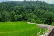 کلبه دوبلکس دوخواب مزرعه پدری در شیرگاه