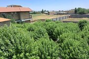 آپارتمان دو خواب مبله در سپیدان