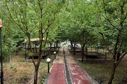 آپارتمان مبله دوخواب جنگلی السای در طرقبه
