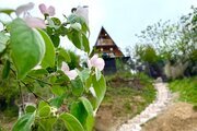 کلبه سوئیسی تک خواب رویایی اَبرا در لنگرود