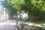 سوئیت نقلی همیشه بهار در رشت