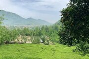 ویلا تک خواب بهشت قلعه رودخان