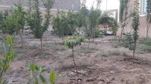 خانه باغ نوساز در کاشان